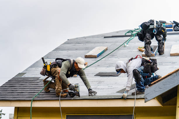 Professional Roofing technician working in Knierim, IA